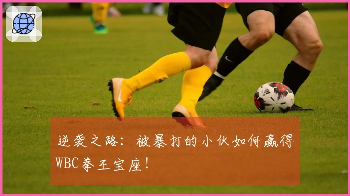 逆袭之路：被暴打的小伙如何赢得WBC拳王宝座！